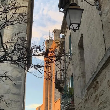 De Charme Dans Le Coeur Historique D'uzes Apartment